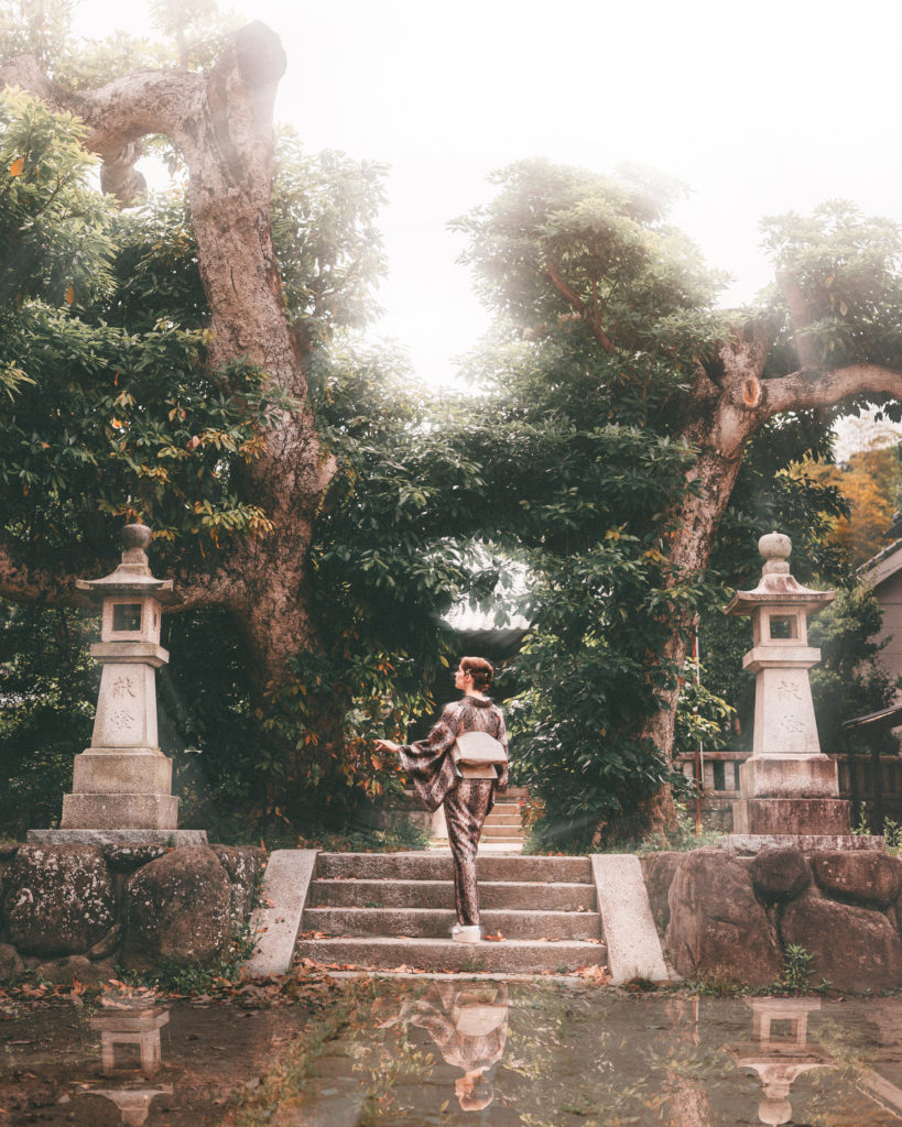 屋外での自然な着物撮影の一場面