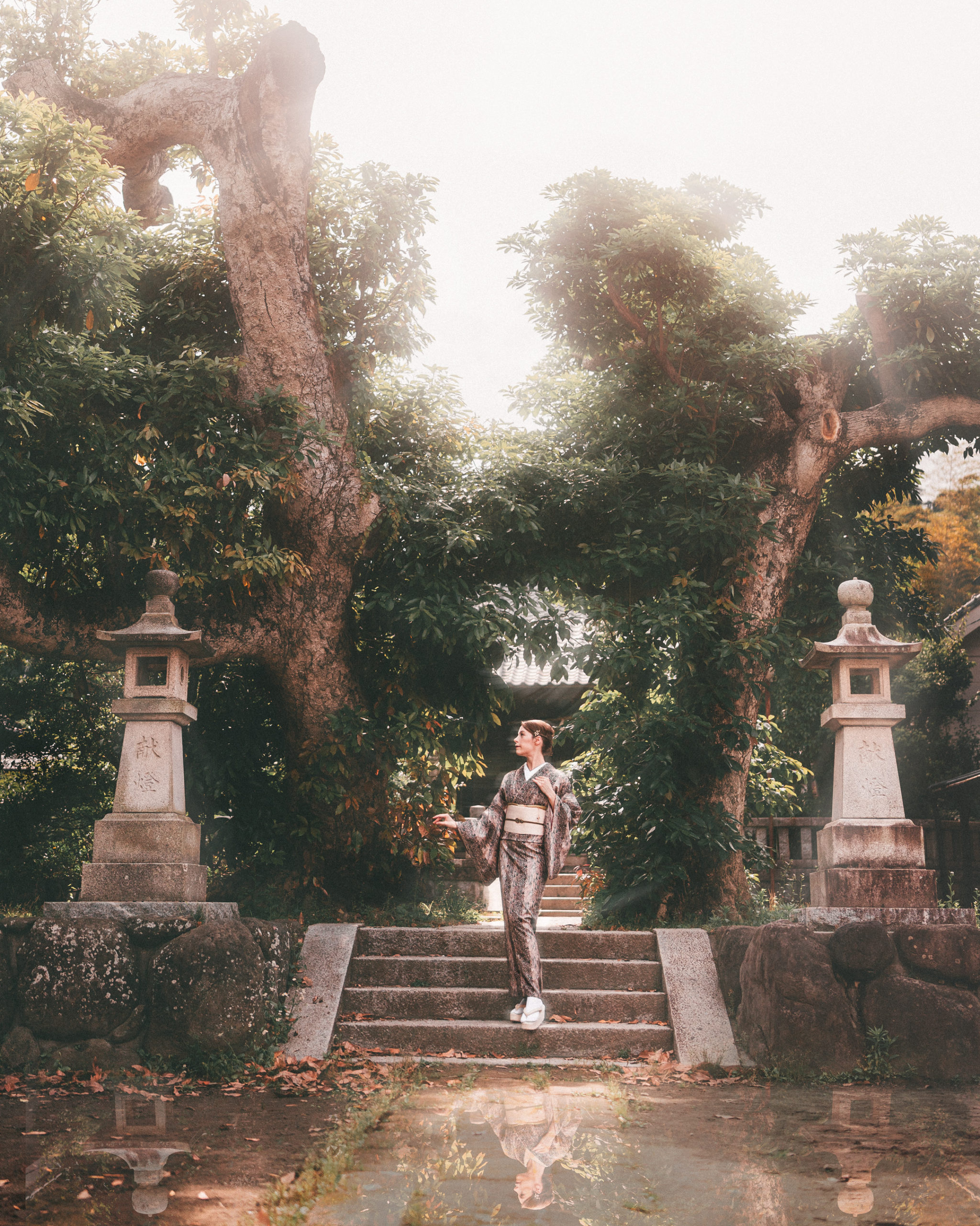 鎌倉の神社で本格着物を着た女性