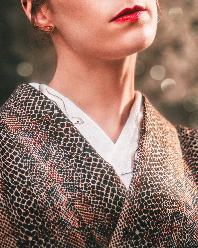 正絹の着物生地と文様のアップ